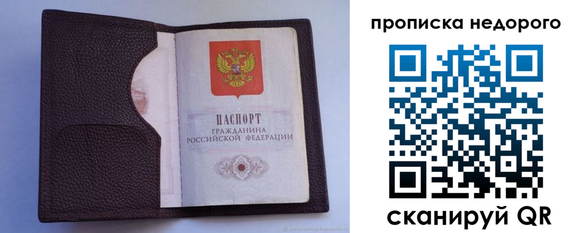 прописка законно в Бердске